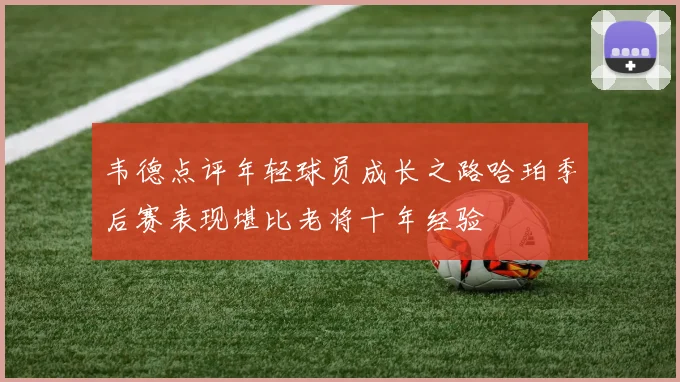 韦德点评年轻球员成长之路哈珀季后赛表现堪比老将十年经验